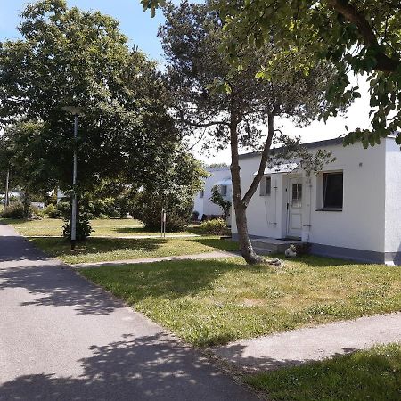 Ferienhaeuschen Kuestenwald Bei Warnemuende, Eigener Garten, Terrasse Mit Strandkorb, 400M Zum Strand Diedrichshagen  Εξωτερικό φωτογραφία