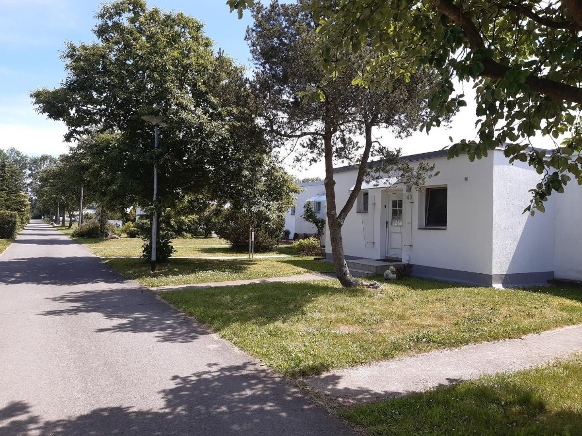 Ferienhaeuschen Kuestenwald Bei Warnemuende, Eigener Garten, Terrasse Mit Strandkorb, 400M Zum Strand Diedrichshagen  Εξωτερικό φωτογραφία