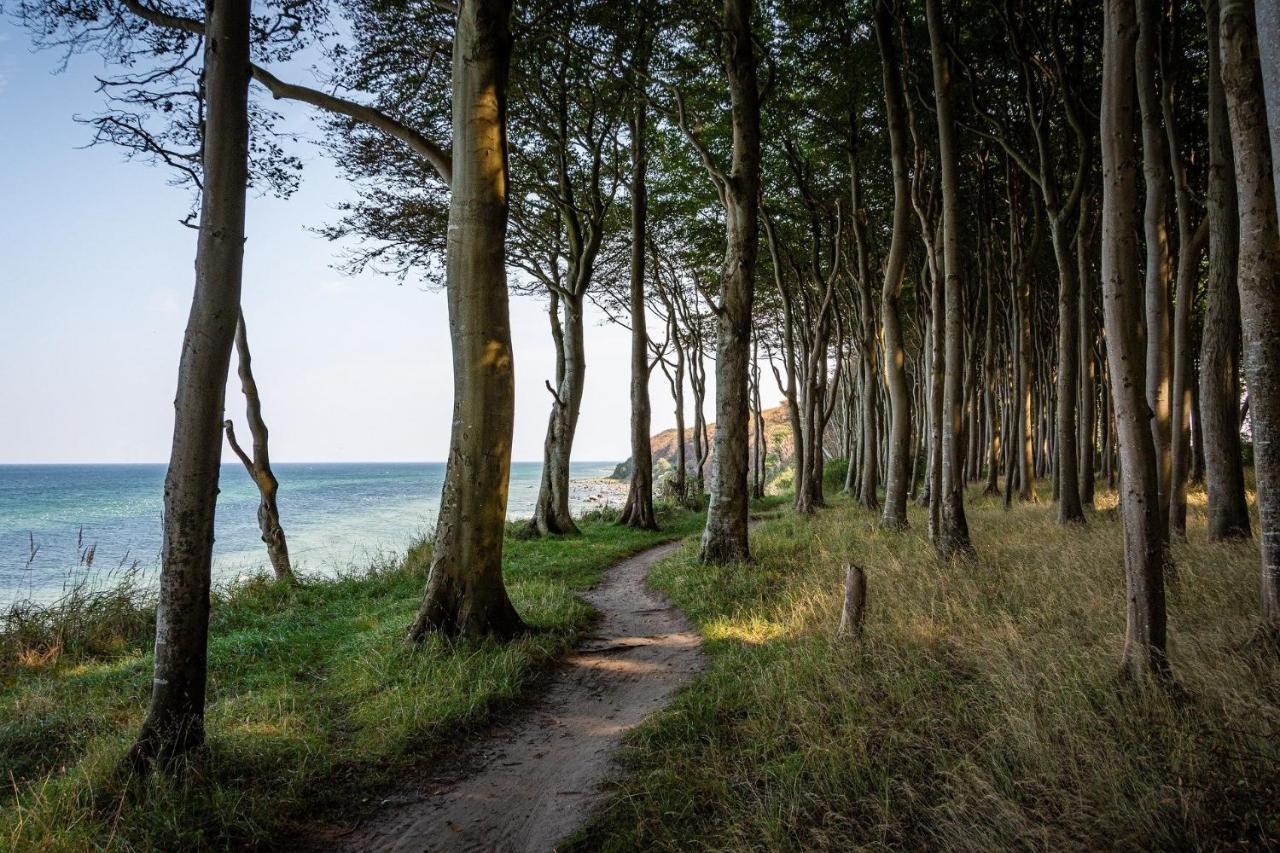 Ferienhaeuschen Kuestenwald Bei Warnemuende, Eigener Garten, Terrasse Mit Strandkorb, 400M Zum Strand Diedrichshagen  Εξωτερικό φωτογραφία